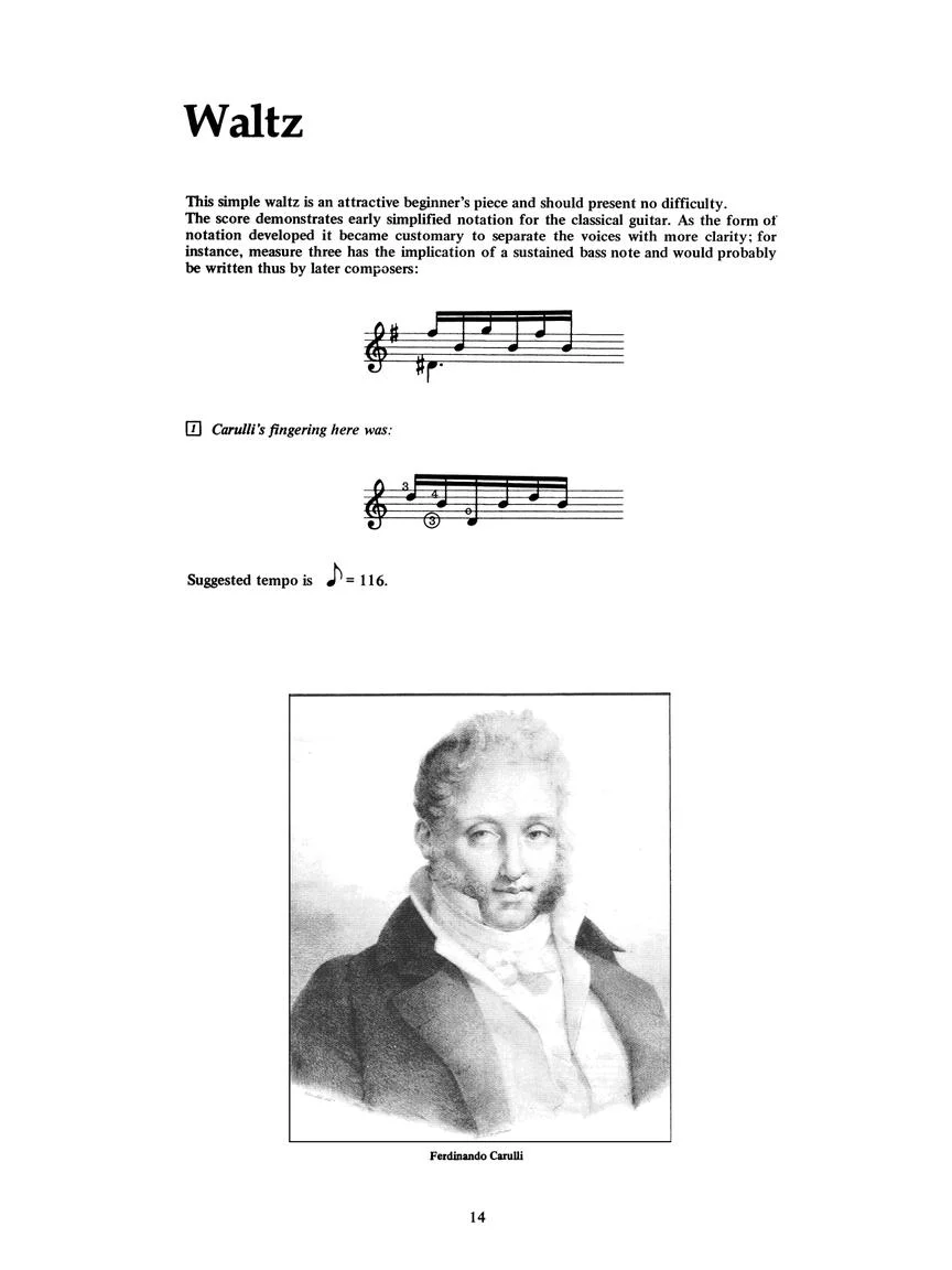 Classical Guitar, The - Image 12