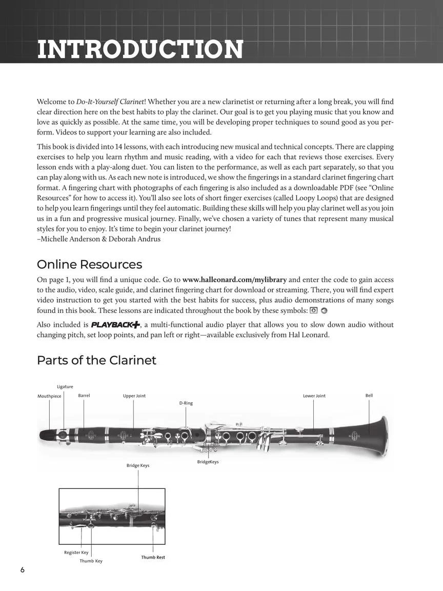 Do-It-Yourself Clarinet - Image 4