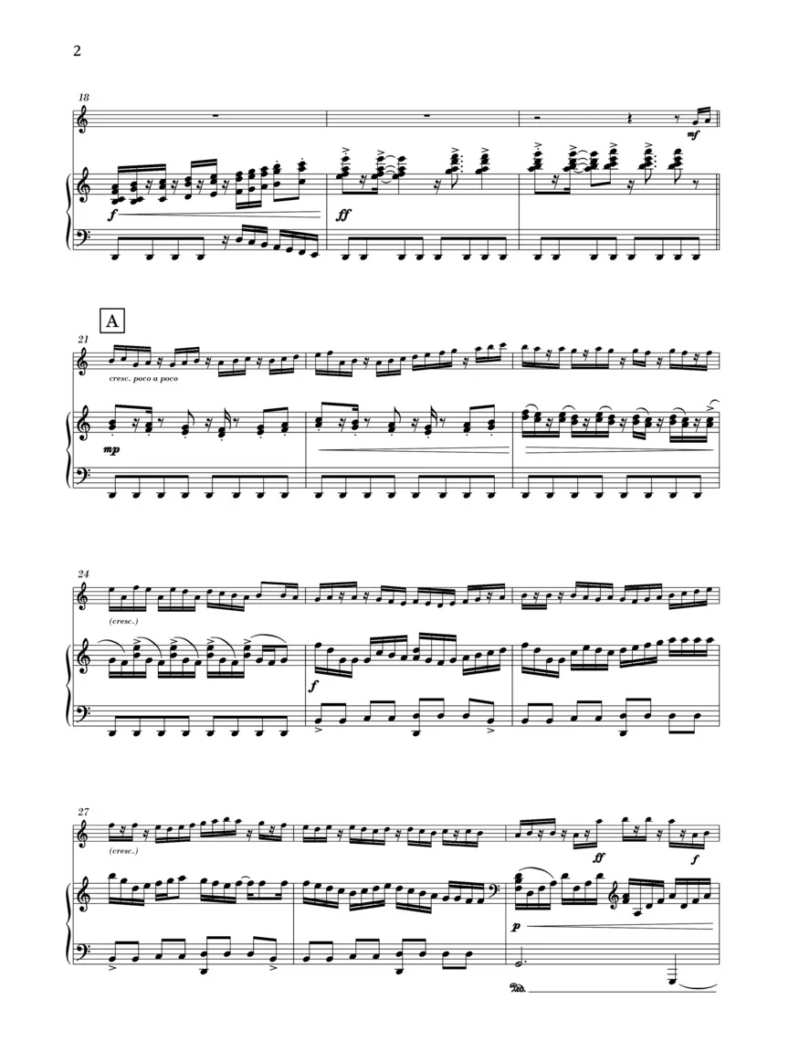 Dorman Piccolo Concerto - Image 5