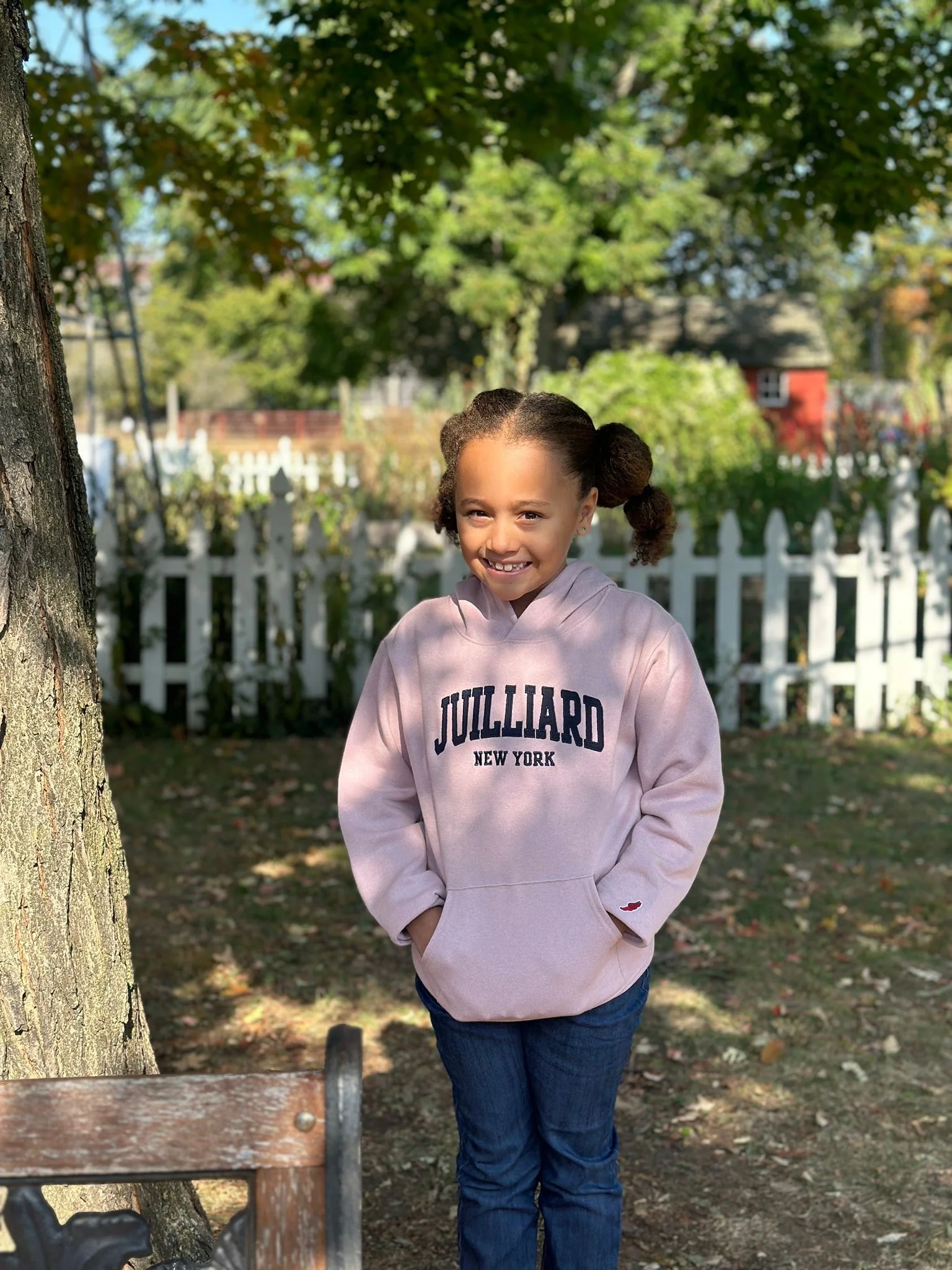 Sweatshirt: Juilliard New York Classic Hood YOUTH - Image 9
